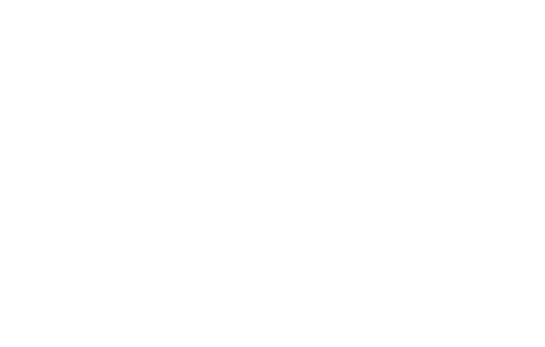 Logo Börner - Ihr Hausmakler